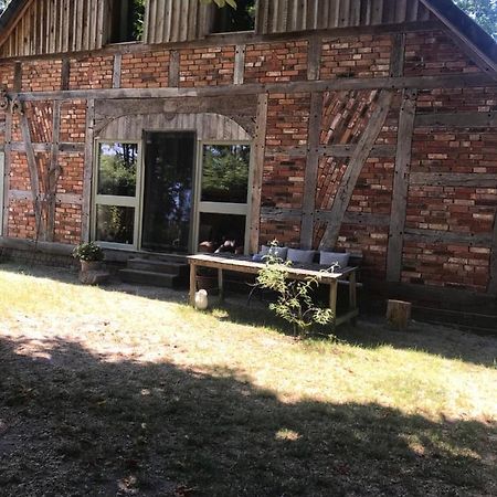 Gemuetliche Ferienwohnung An Der Elbe Bleckede Esterno foto