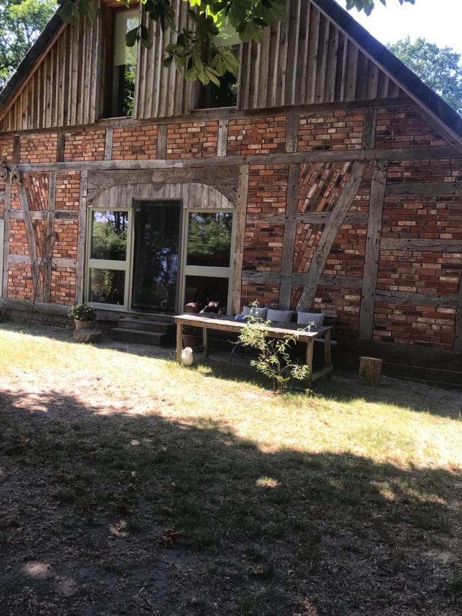 Gemuetliche Ferienwohnung An Der Elbe Bleckede Esterno foto