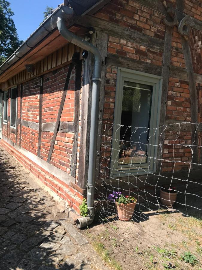 Gemuetliche Ferienwohnung An Der Elbe Bleckede Esterno foto